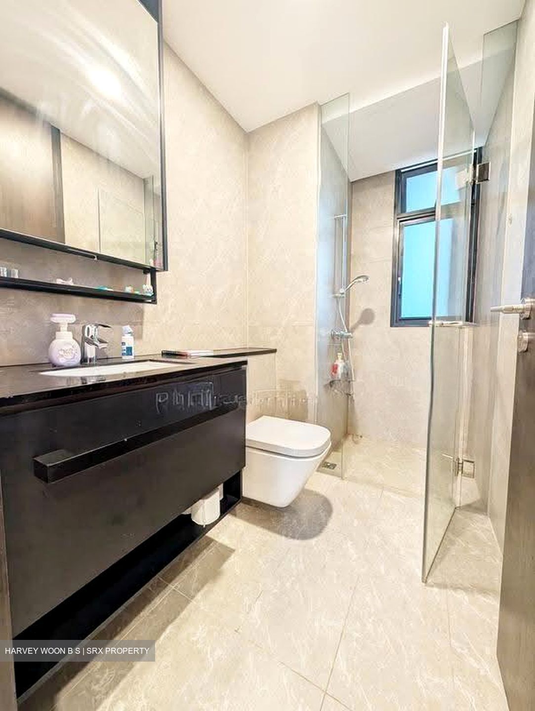 Park Colonial (D13), Condominium #632509601